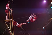 Flying Jalapenos Circus Roncalli München 2019 - "Storyteller: Gestern, heute, morgen" Gastspiel am Leonrodplatz vom 12.10.-12.11.2019